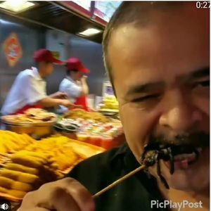 Meet your Posher, Raul